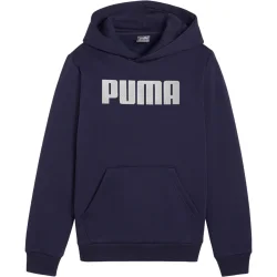 PUMA MASS MERCHANTS STYLE Hoodie FL