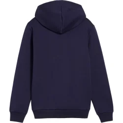 PUMA MASS MERCHANTS STYLE Hoodie FL