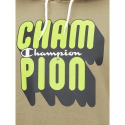 Champion Hoddie