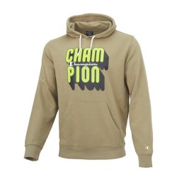 Champion Hoddie