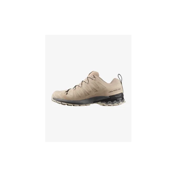 Salomon SHOES XA PRO 3D V9 GTX Oxford/