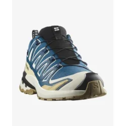 Salomon SHOES XA PRO 3D V9 GTX Dark B/