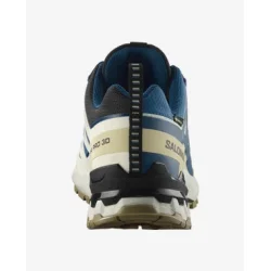 Salomon SHOES XA PRO 3D V9 GTX Dark B/