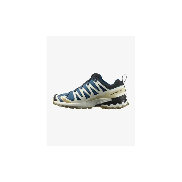 Salomon SHOES XA PRO 3D V9 GTX Dark B/