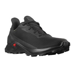 SALOMON ALPHACROSS 3 GTX W Bk