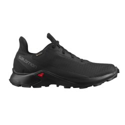 SALOMON ALPHACROSS 3 GTX W Bk