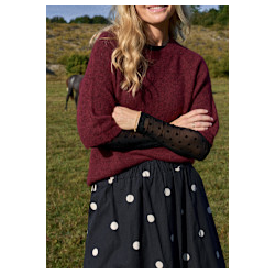 Black Colour Jennie Dotted Mesh Blouse