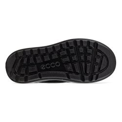 Ecco Snowboarder Stvle