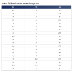 PUMA FUTURE 7 MATCH FG/AG